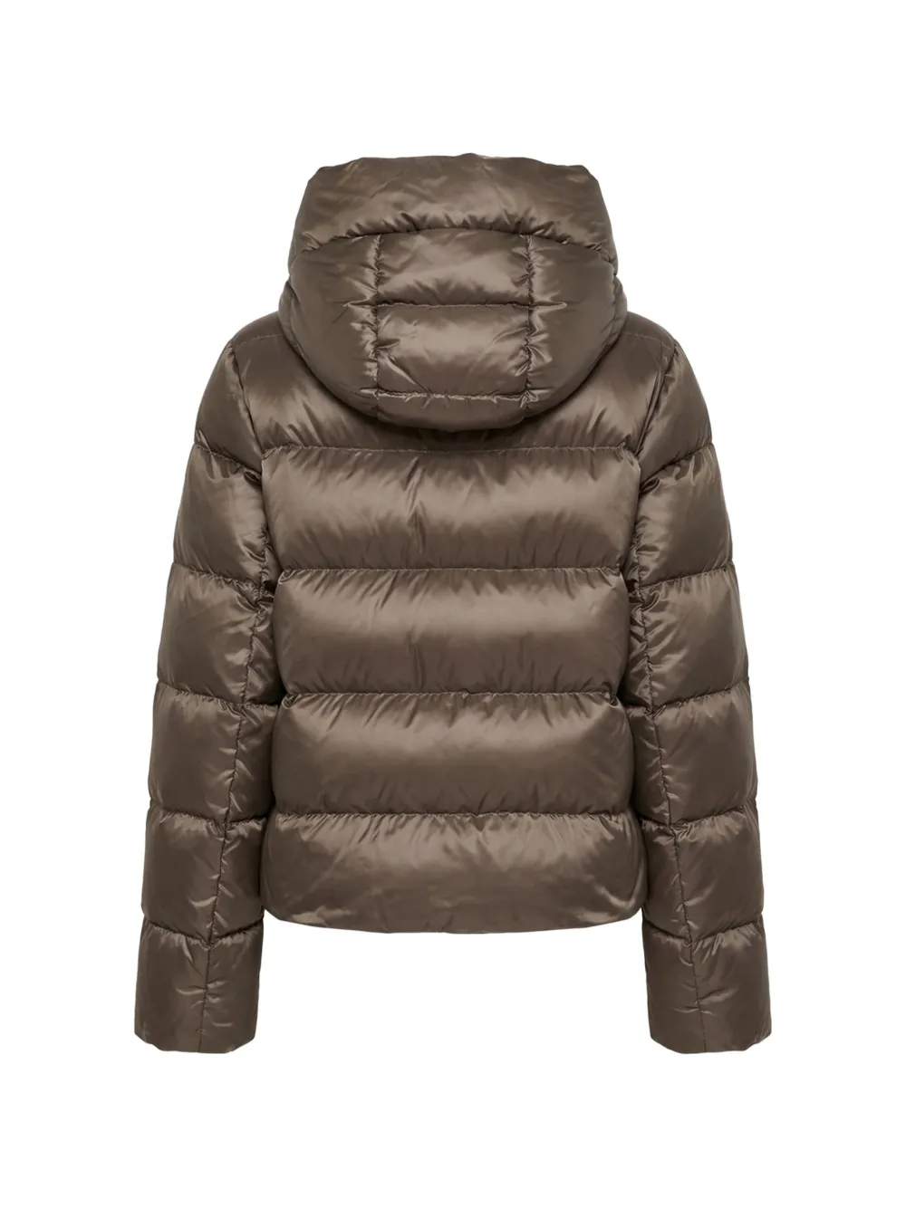 Max Mara Gevoerd jack met capuchon Bruin