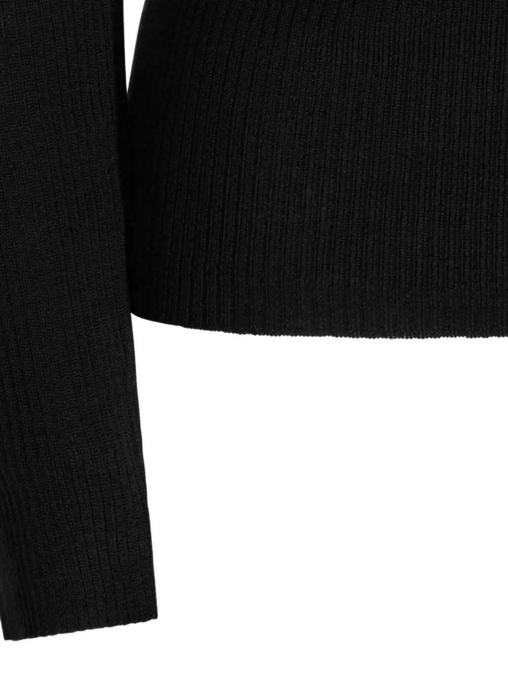 TWINSET ribbed-knit roll-neck sweater Zwart