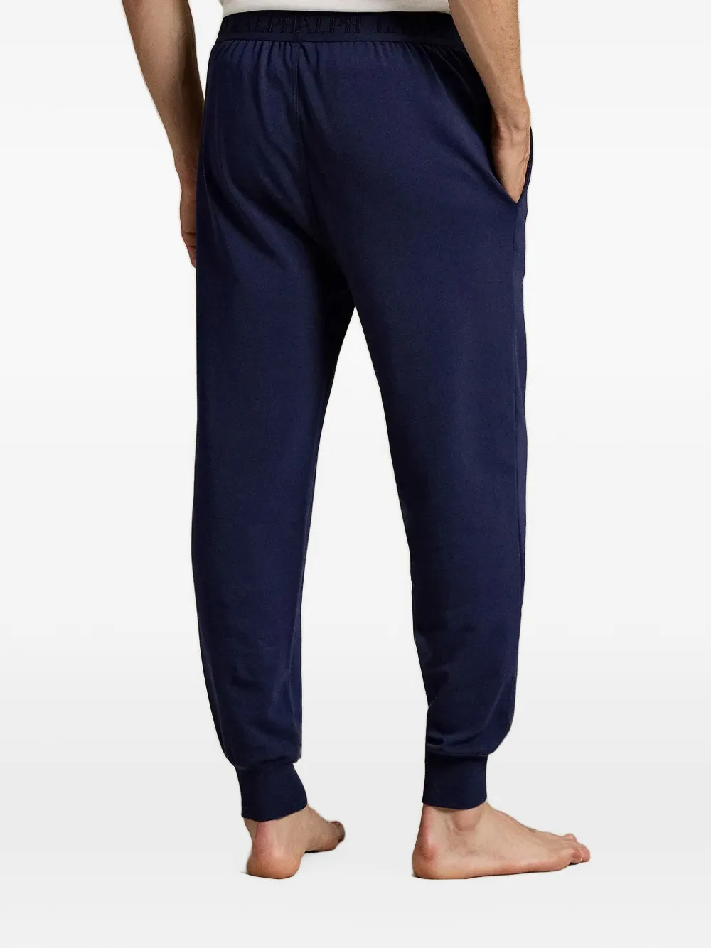 Polo Ralph Lauren Hoodie met geborduurd logo Blauw