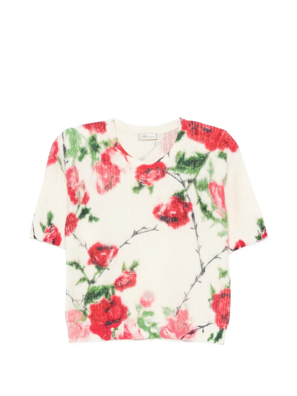 Blumarine St. Rose floral-print ribbed-knit sweater