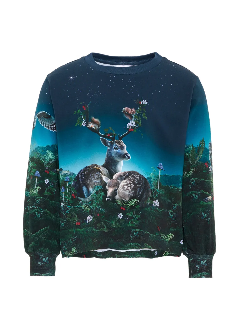 Molo graphic-print long-sleeve T-shirt - Blu