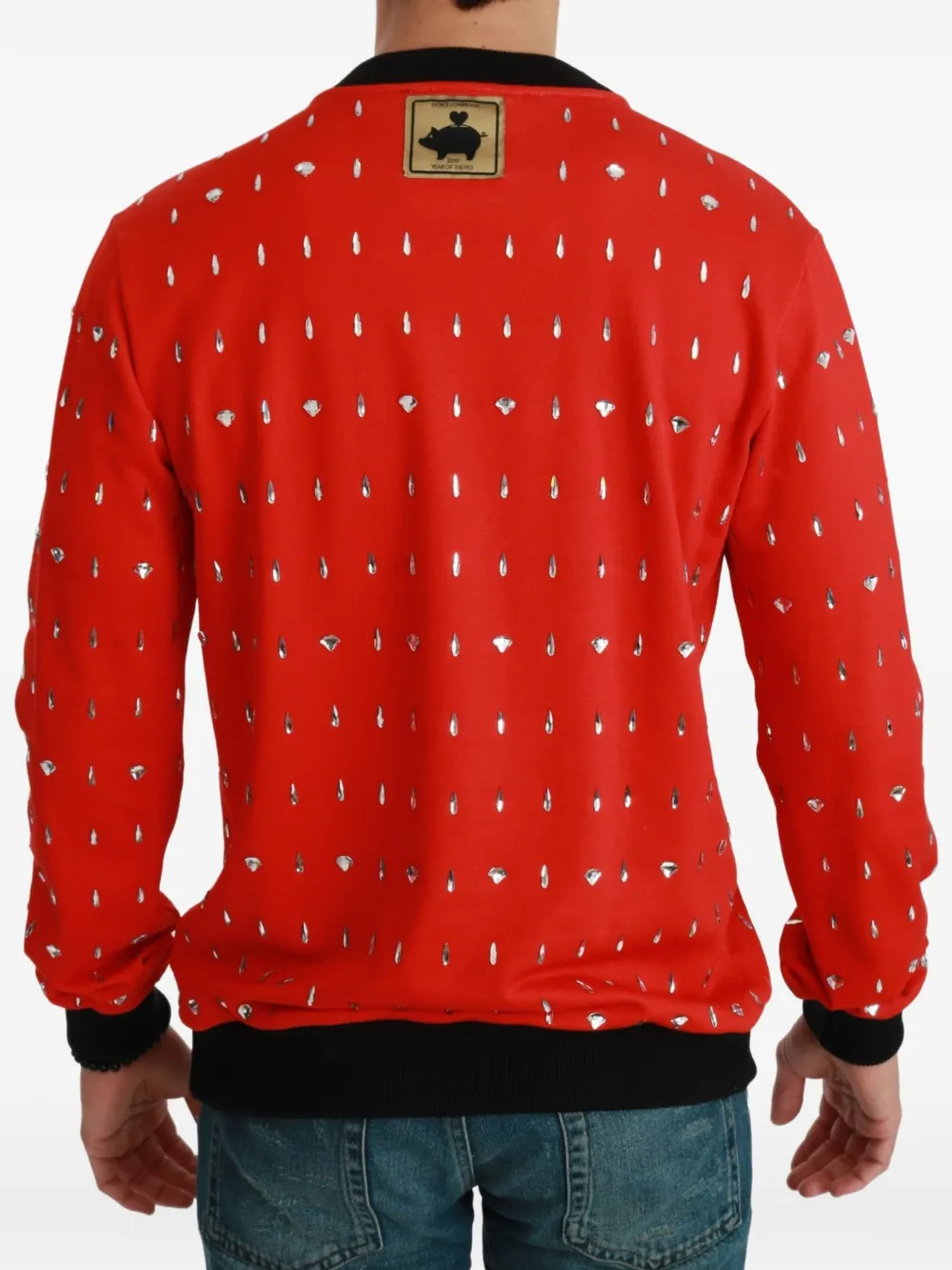 Dolce & Gabbana Trui met spaarpot en verfraaid met kristallen Rood