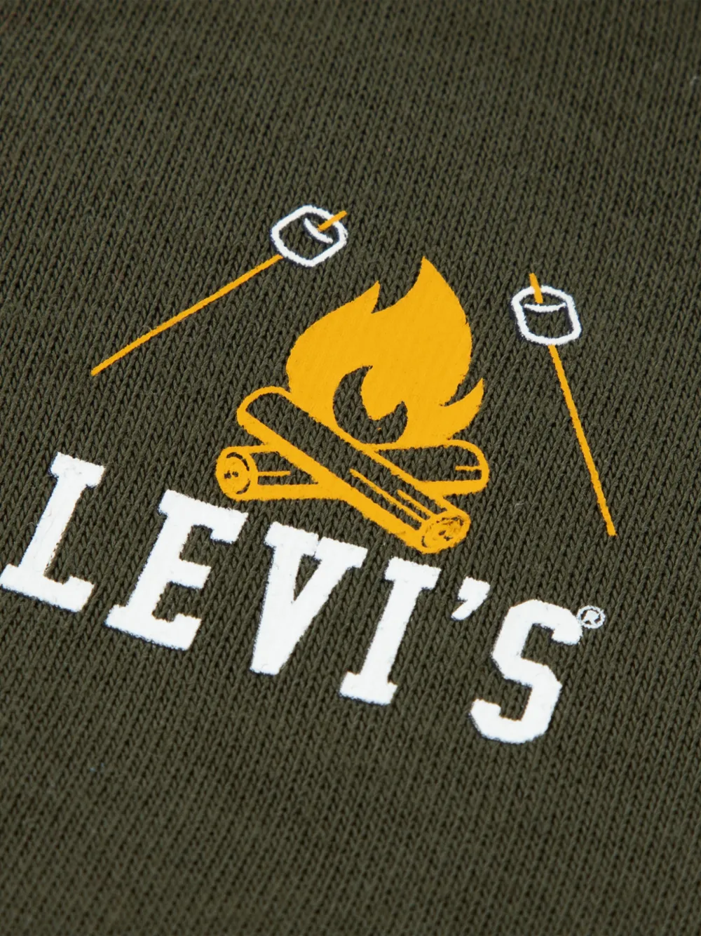 Levi's Kids Set met hoodie met rits en grafische print Groen
