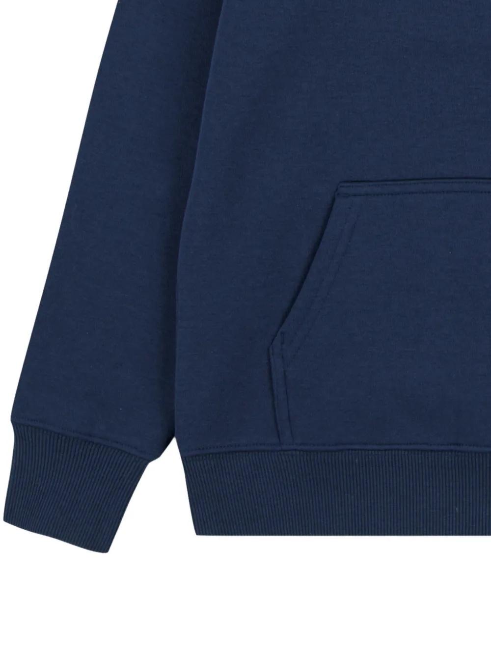 Levi's Batwing logo-print hoodie Blauw