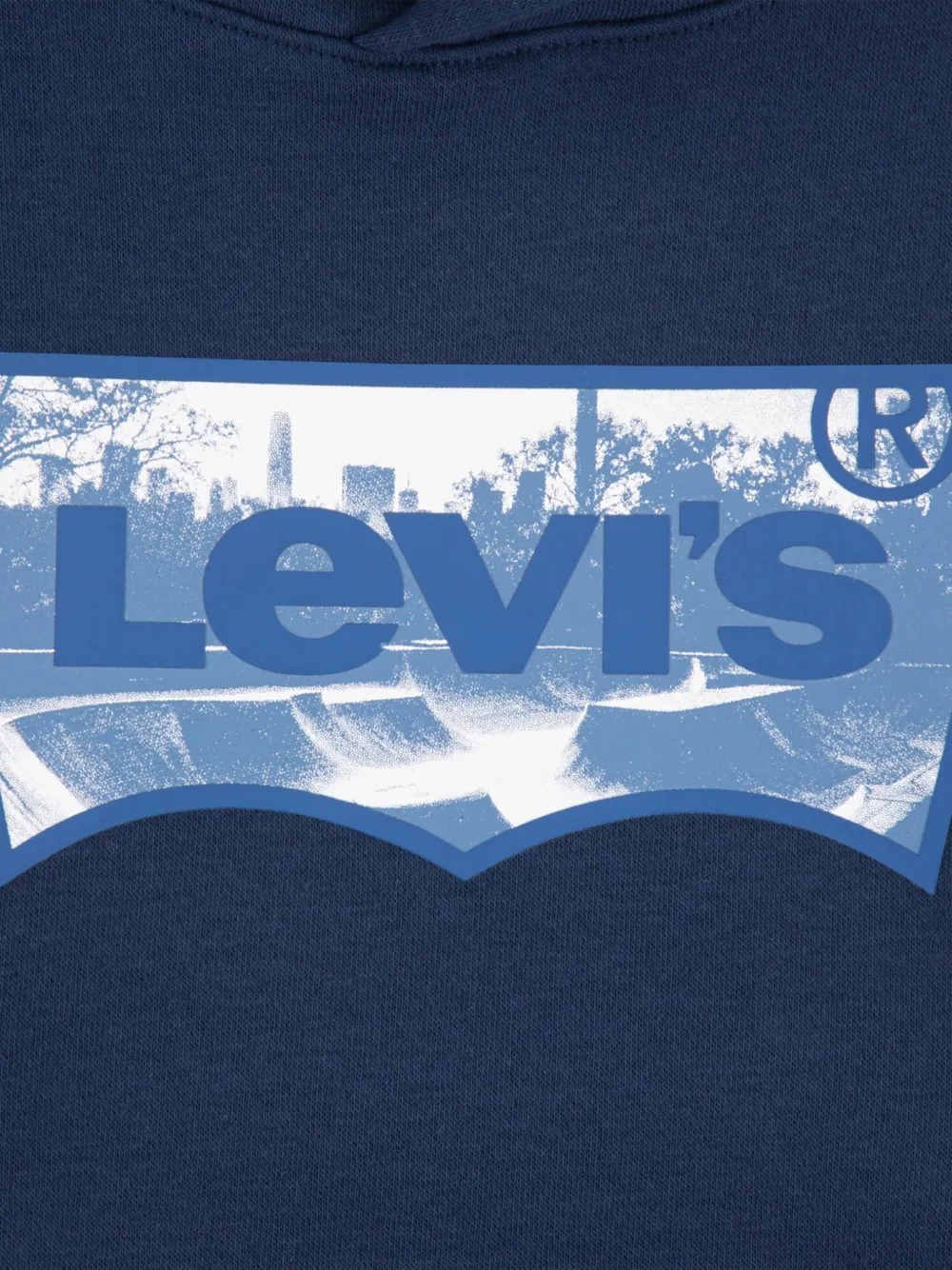 Levi's Batwing logo-print hoodie Blauw