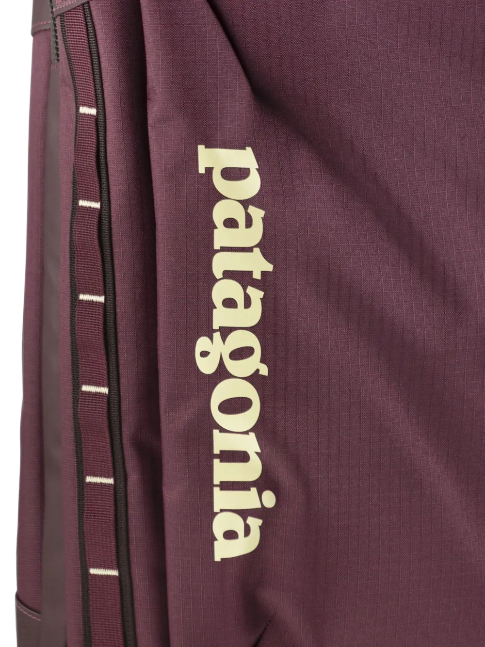 Patagonia Black Hole logo-print backpack Rood