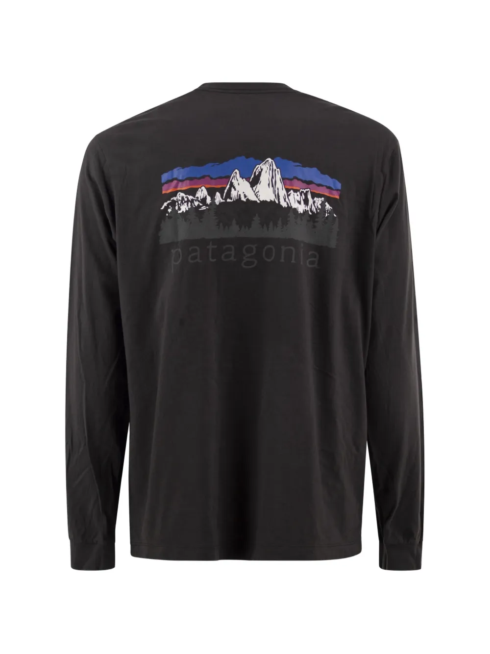 Patagonia Fitz Roy Foothills T-shirt met lange mouwen Zwart