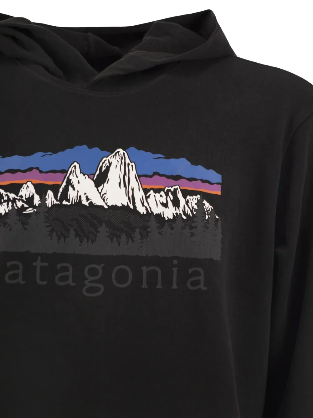 Patagonia Fitz Roy Foothills katoenen hoodie met grafische print Zwart