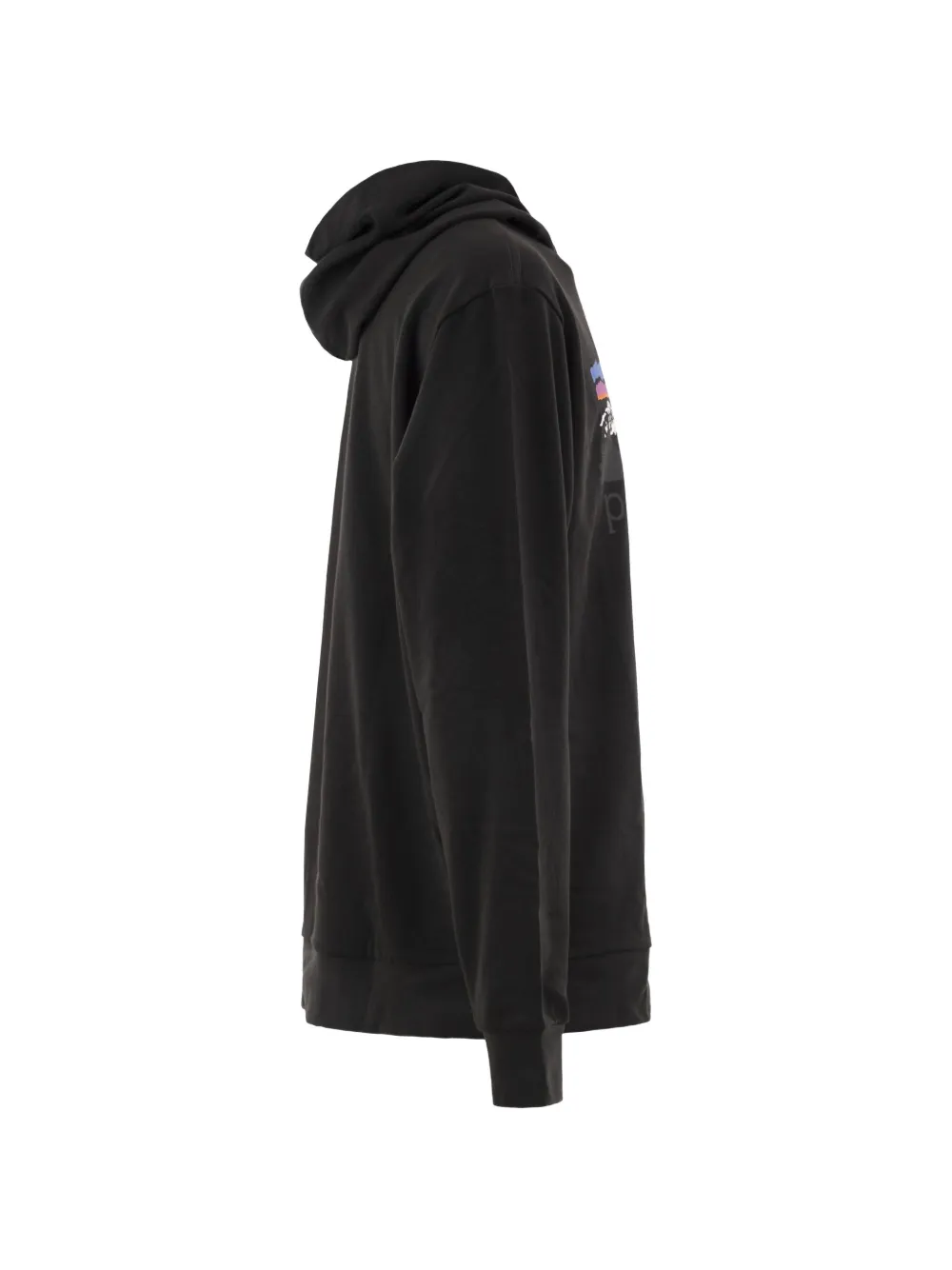 Patagonia Fitz Roy Foothills katoenen hoodie met grafische print Zwart