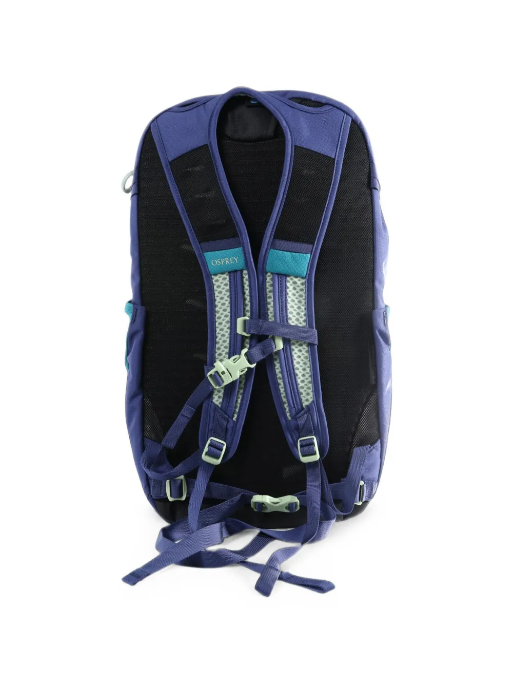 Osprey Daylite Plus Backpack In Blue