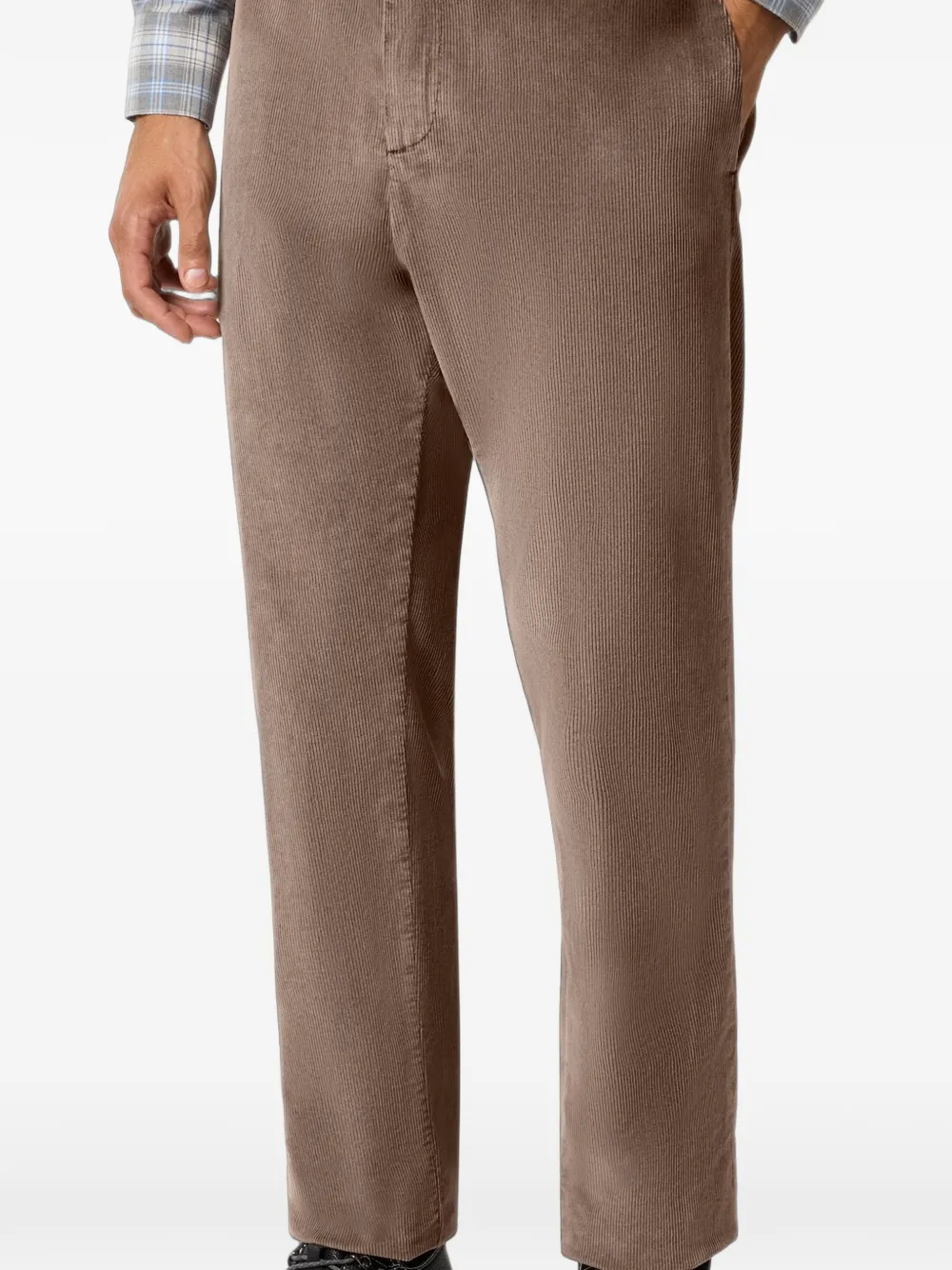 Paul & Shark Alba ribfluwelen broek Bruin