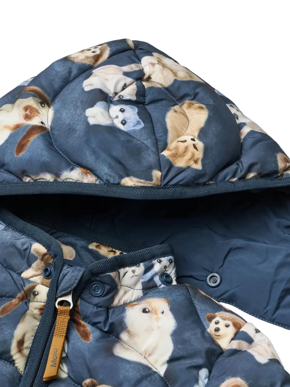 Molo Harmony gewatteerd jack met dieren-print Blauw