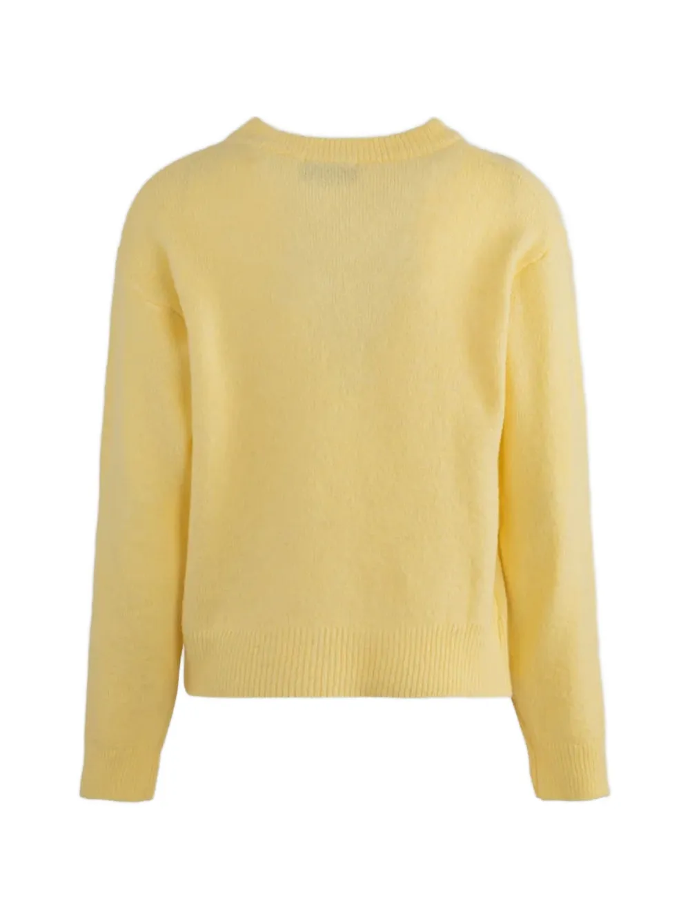 Gaëlle Paris Sweater met geborduurd logo Geel