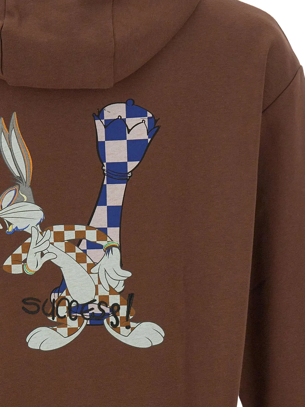 Iceberg Hoodie met print Bruin