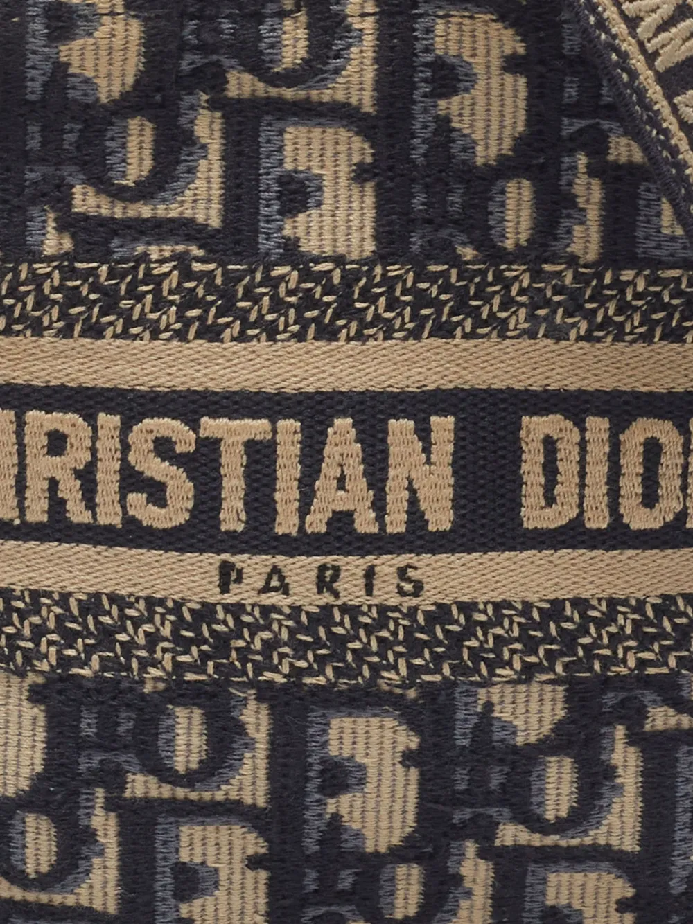 Christian Dior Pre-Owned 2022 Book mini-shopper Blauw