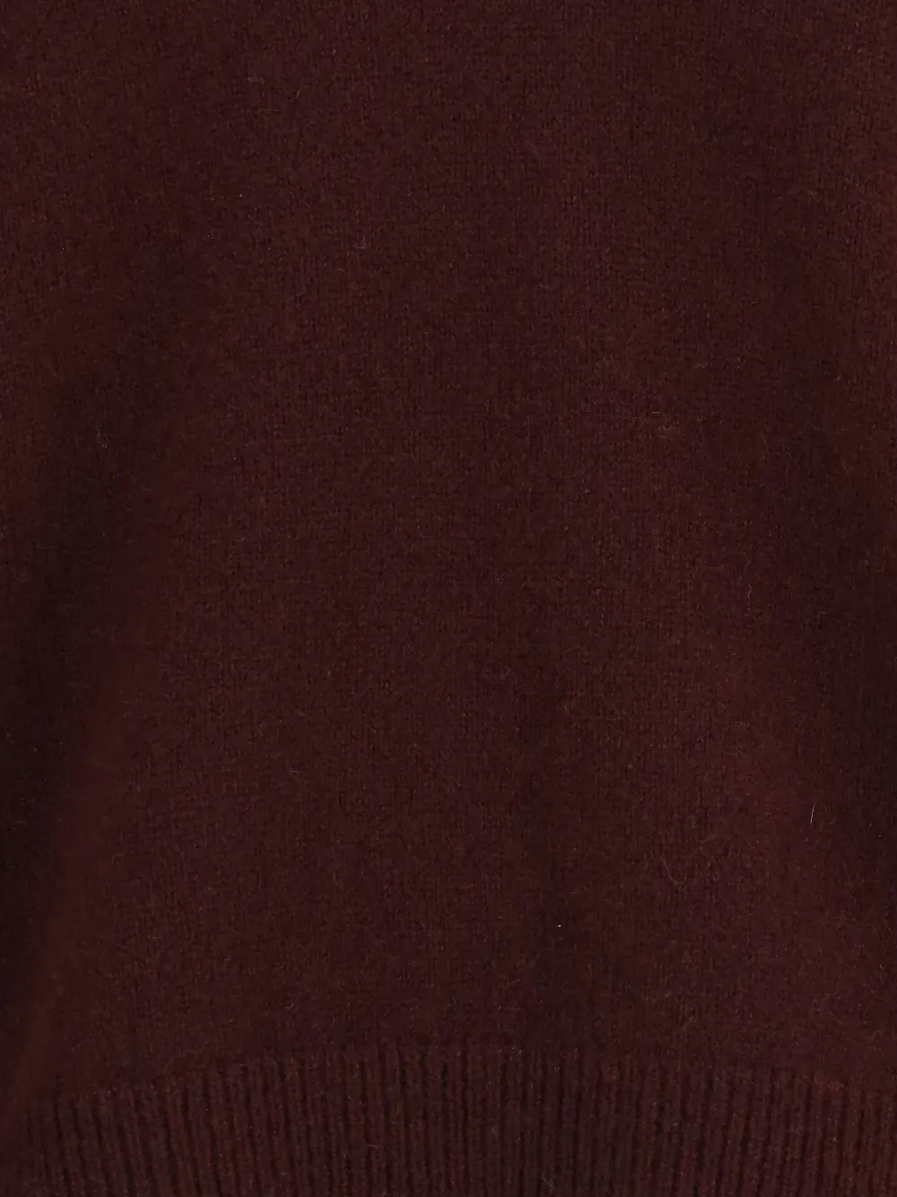 SA SU PHI V-neck hoodie Paars