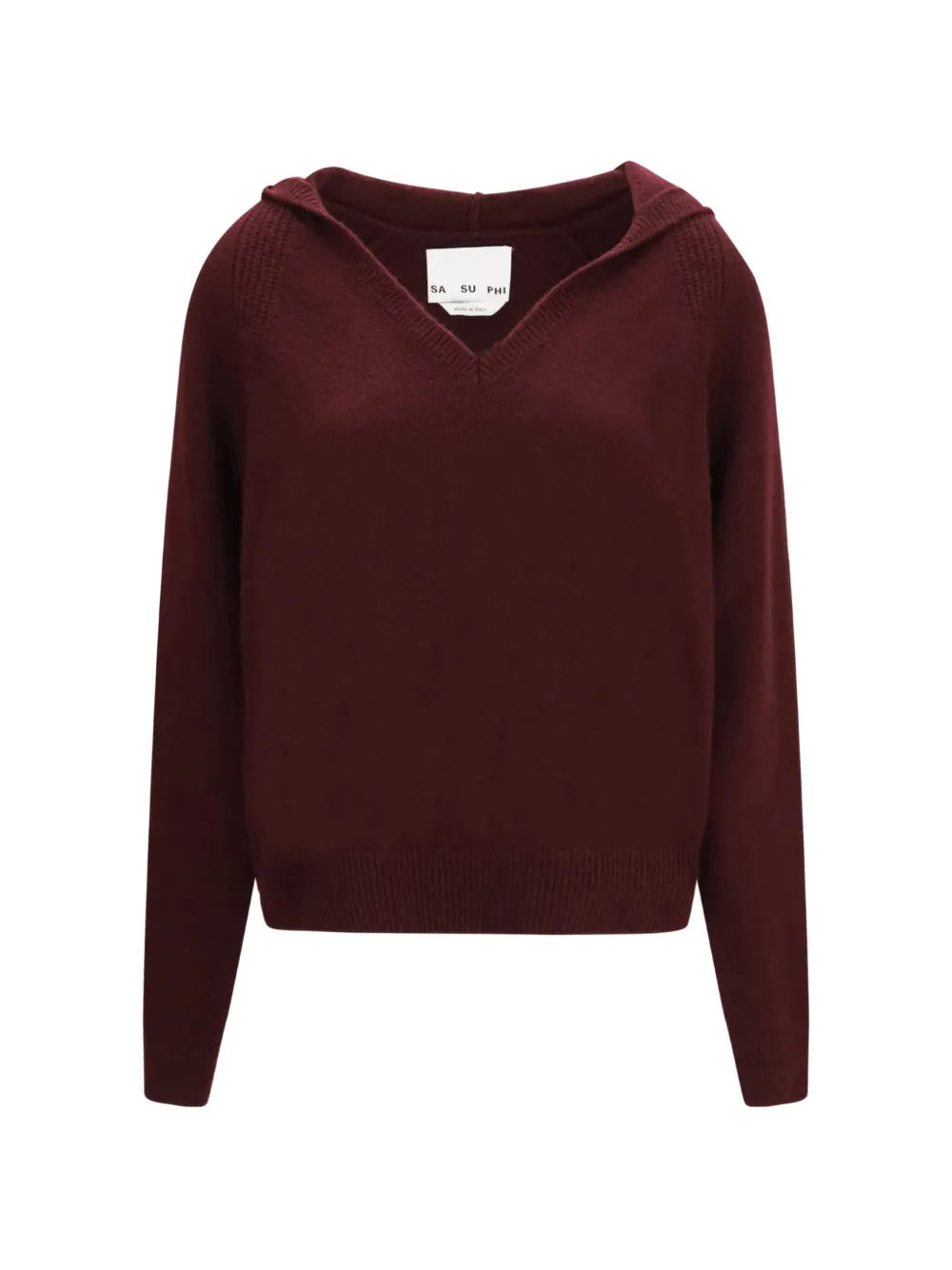 Sa Su Phi V-neck Hoodie In Violett