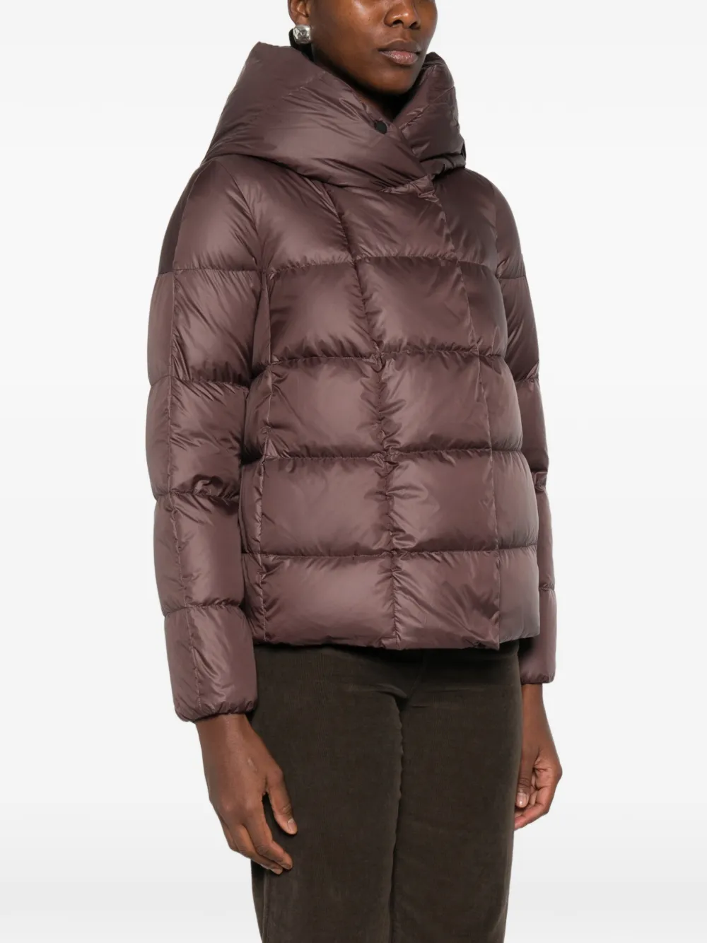Peuterey Tucano Mqn 02 puffer jacket Bruin