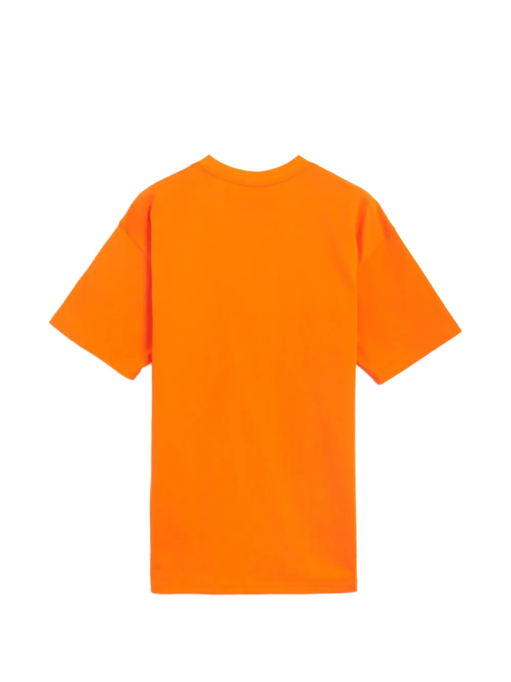 Nike ACG Lungs T-shirt met logoprint Oranje