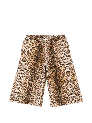 Roberto Cavalli Junior