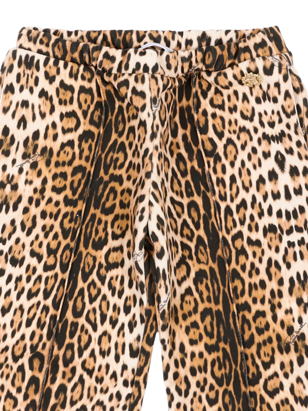 Roberto Cavalli Junior leopard-print track pants Beige