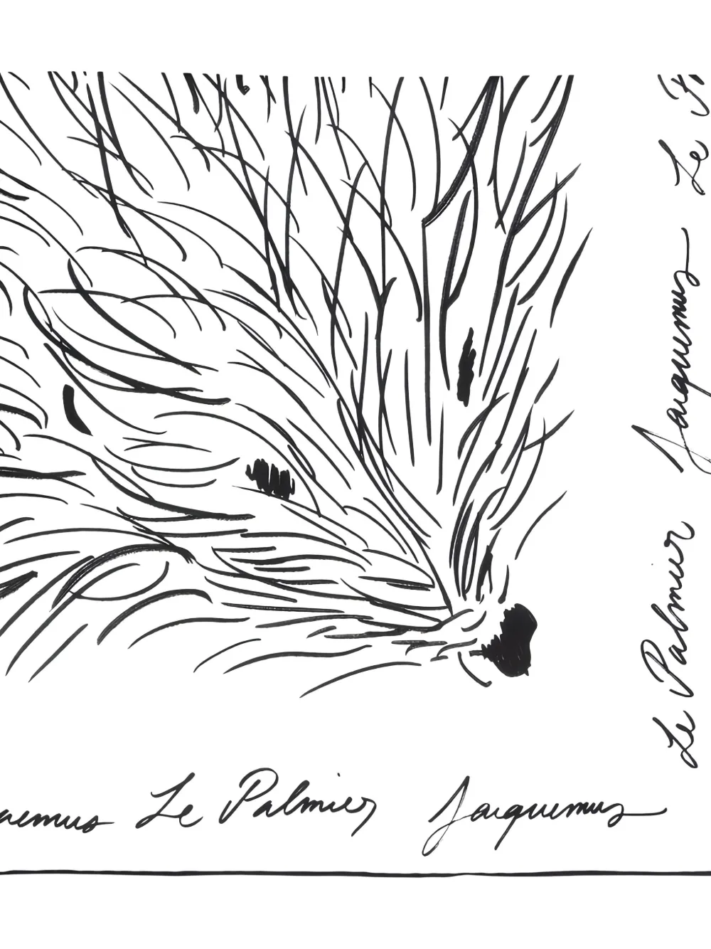 Jacquemus Sjaal met egel-print Wit