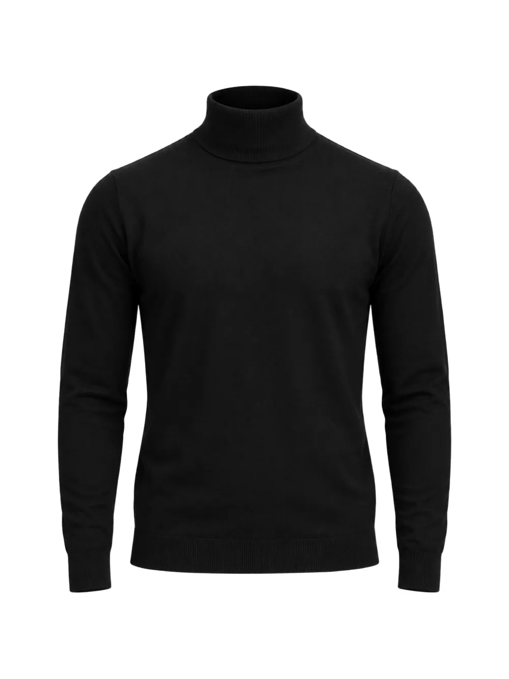 DIKTAT roll-neck sweater