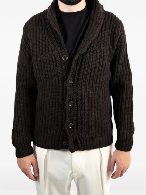 Daniele Fiesoli ribbed shawl-collar cardigan