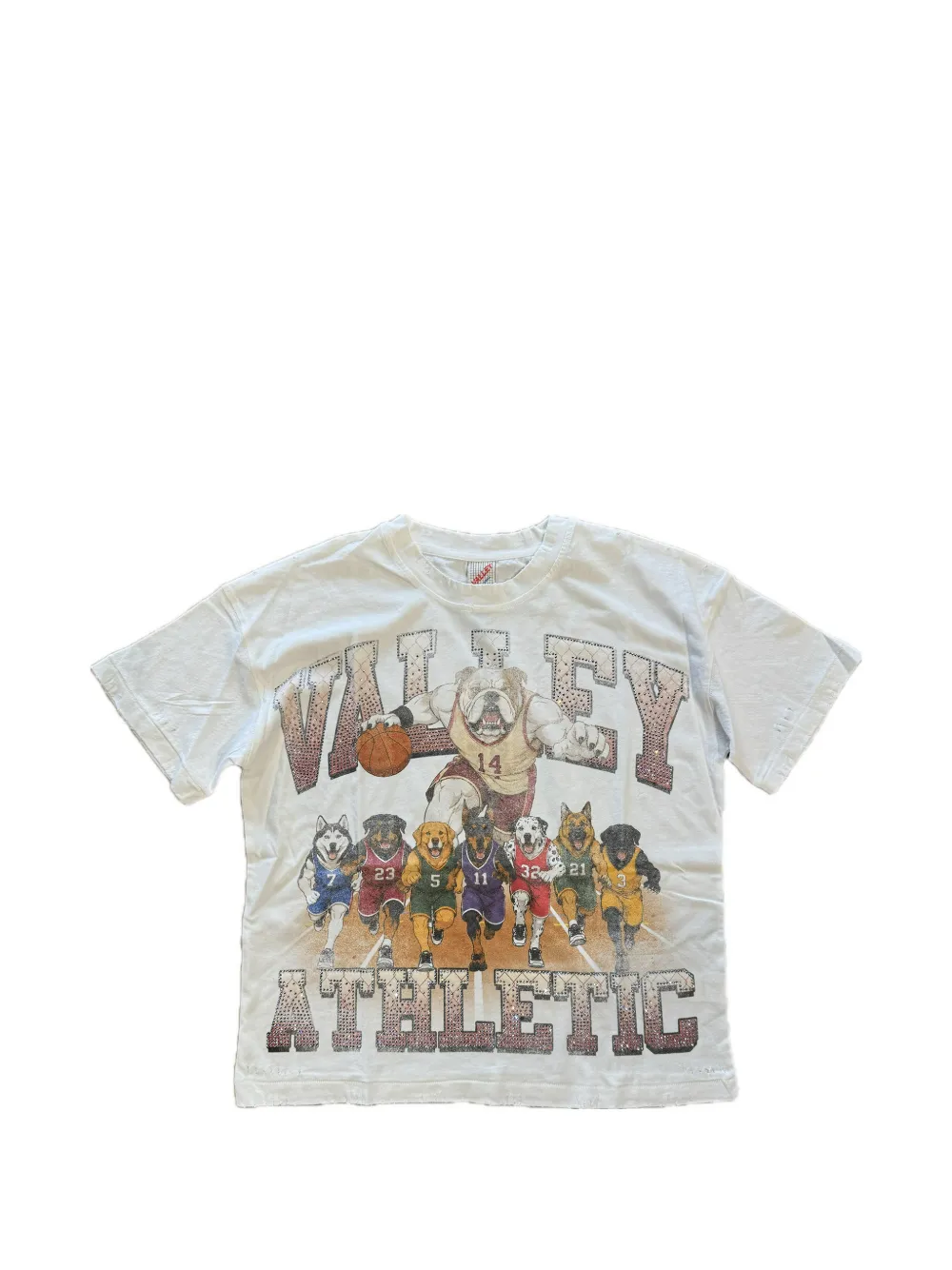 Vale Big Dog Graphic-print T-shirt In Multi