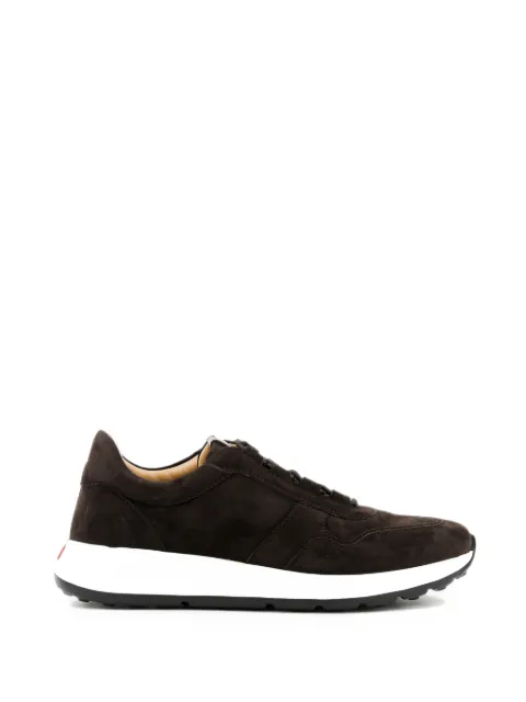 Tod's tenis Pashmy de gamuza