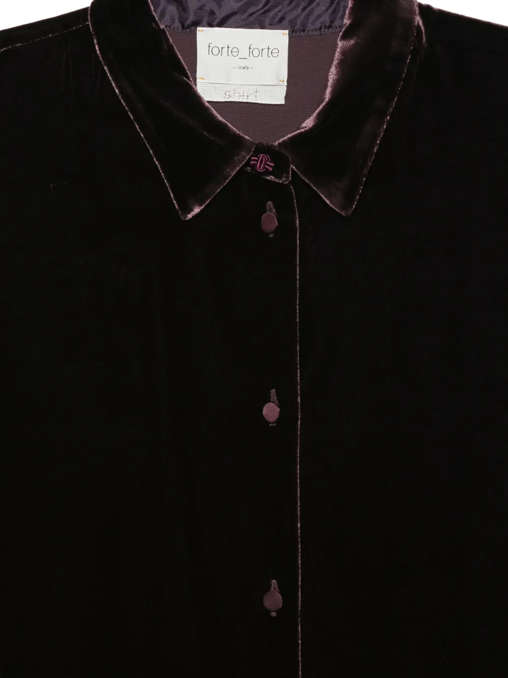 Forte Fluwelen blouse met lange mouwen Paars