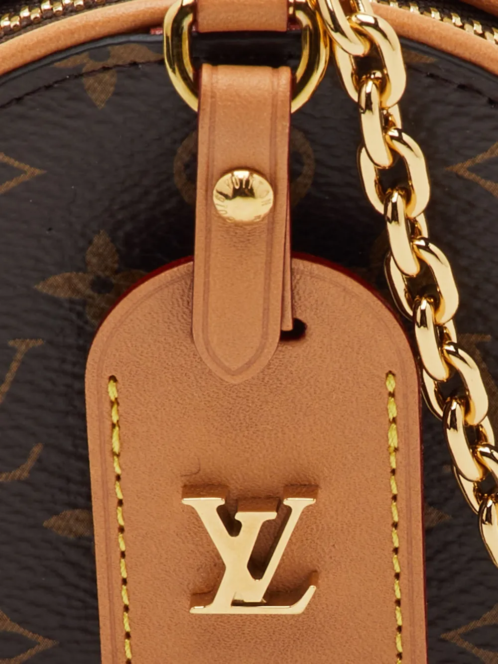 Louis Vuitton Pre-Owned 2019 mBoite Chapeau Necklace canvas mini-tas Bruin