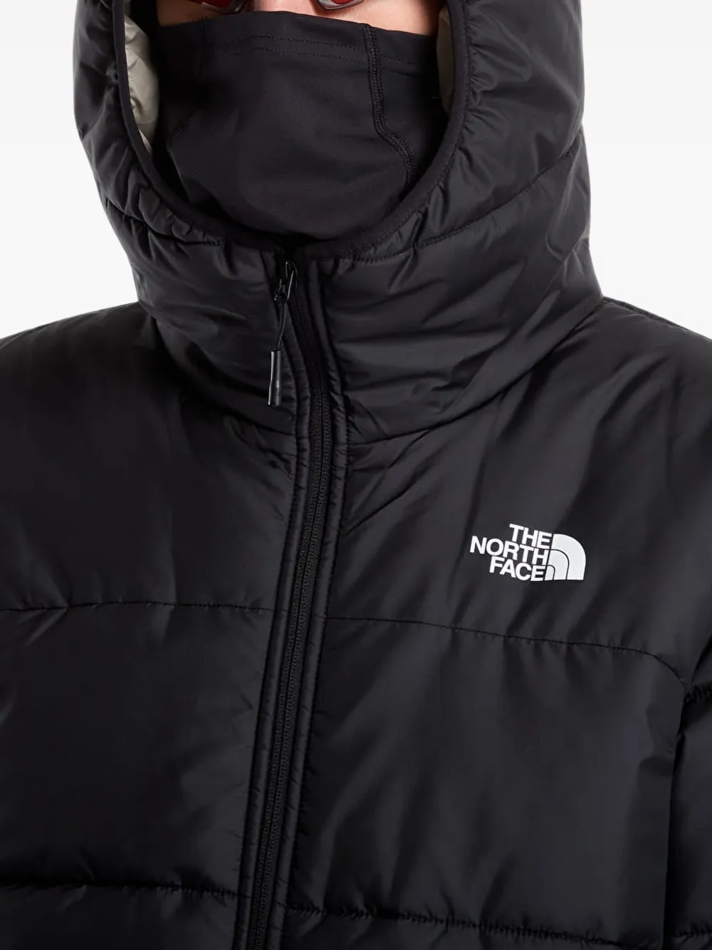 The North Face NSE jack met capuchon Zwart