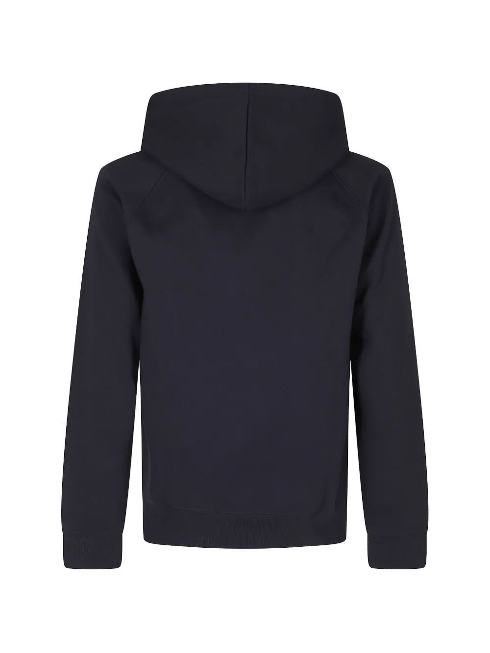 Carhartt WIP Chase hoodie Blauw