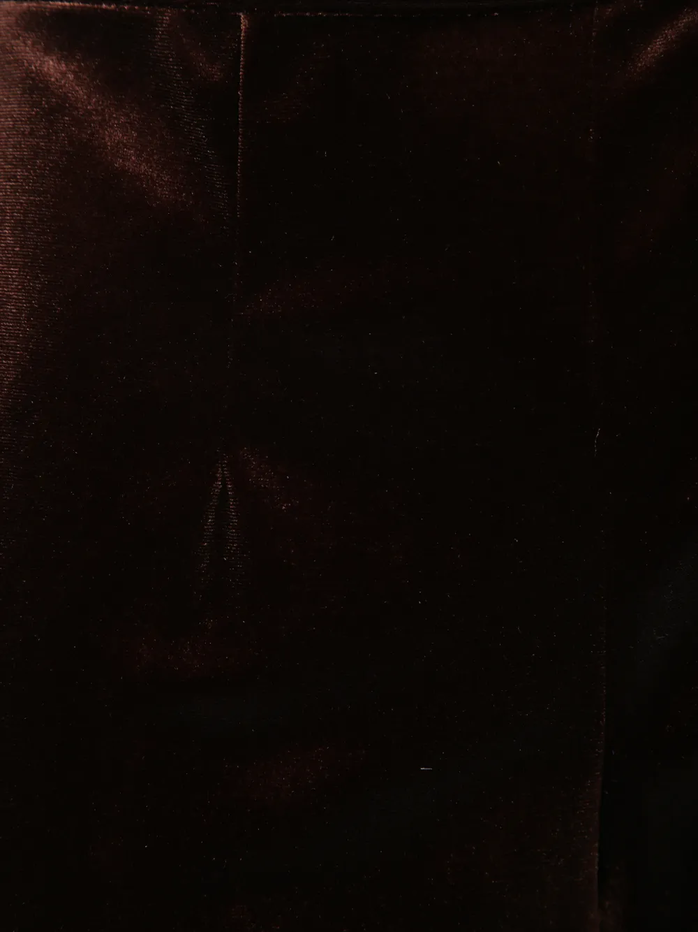Blanca Vita velvet palazzo pants Bruin
