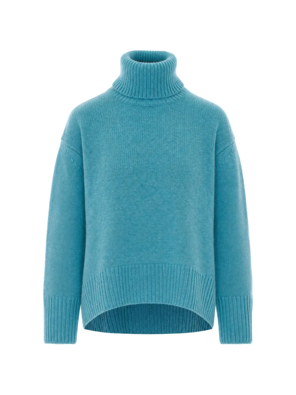 Not Shy Audrey long-sleeve roll-neck sweater