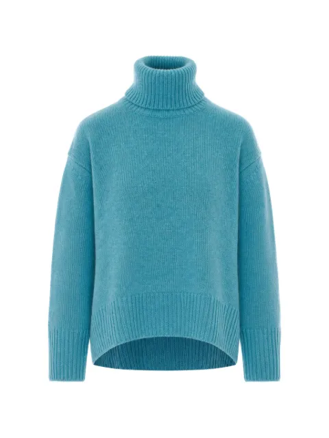 Not Shy Audrey long-sleeve roll-neck sweater