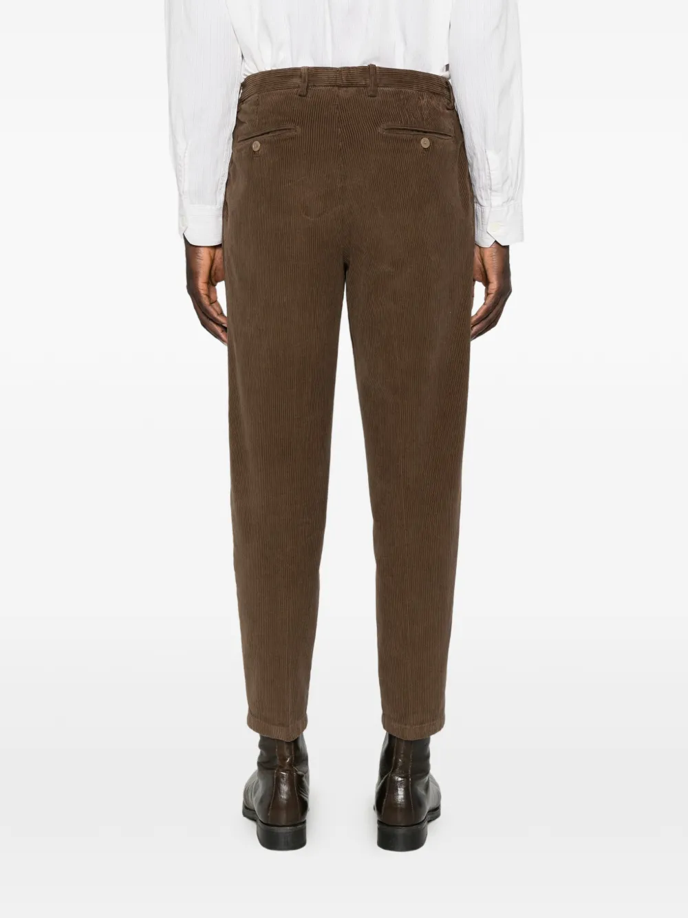 Briglia 1949 PortobelloD ribfluwelen broek Bruin