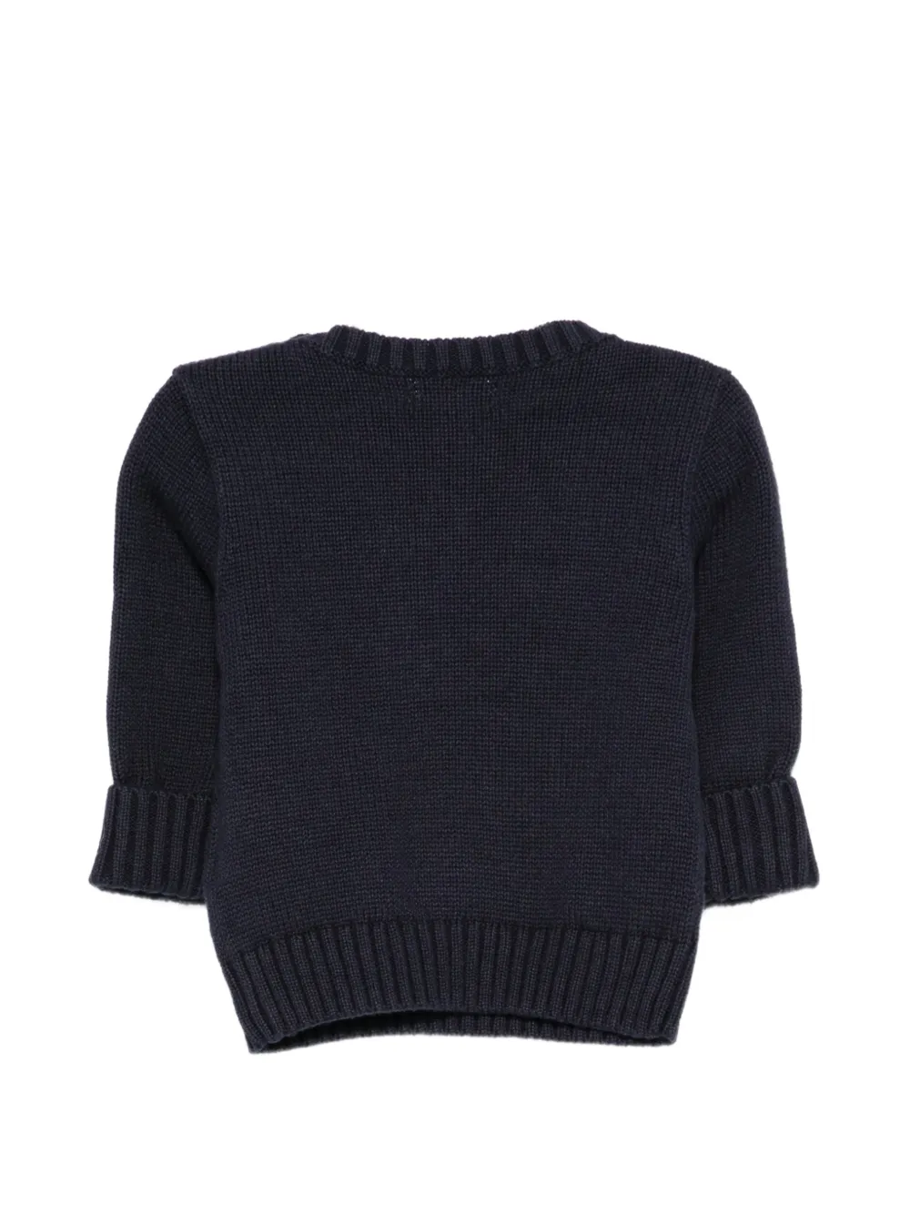 POLO RALPH LAUREN KIDS Trui met knopen op de schouder en honden-intarsia Blauw