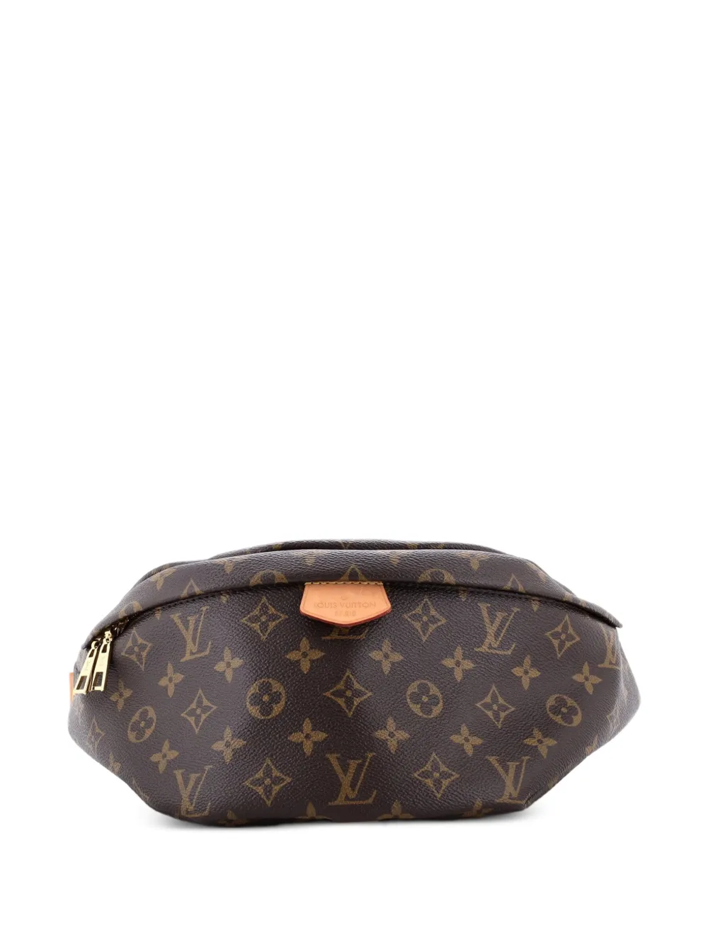 Louis Vuitton Pre-Owned Bum Bag Monogram Canvas belt bag - Marrone