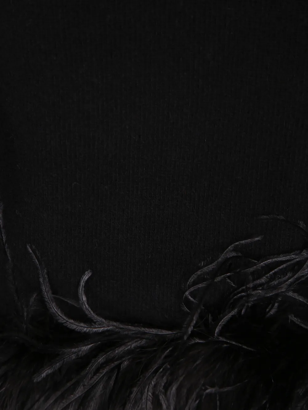 P.A.R.O.S.H. Lestat trui met veren afwerking Zwart