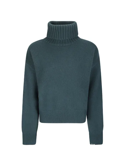 extreme cashmere Crop Xtra roll-neck cropped sweater