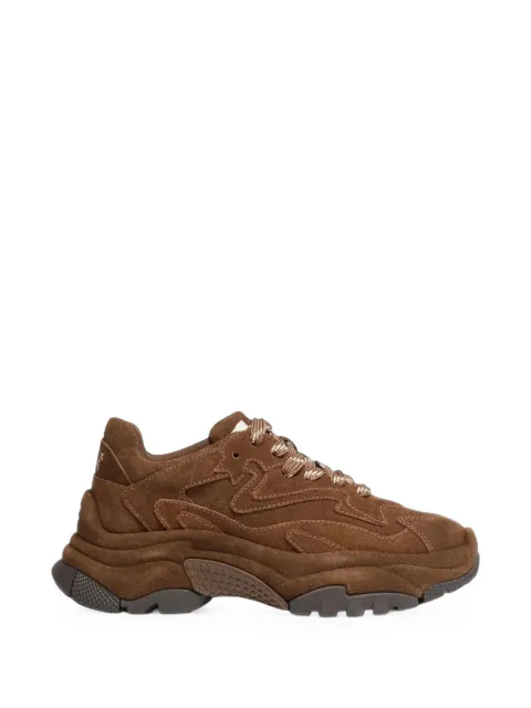 Ash Addict Bis suede sneakers