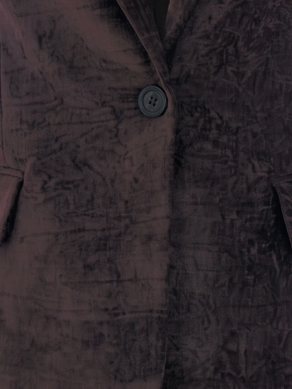 LIU JO Fluwelen blazer Bruin