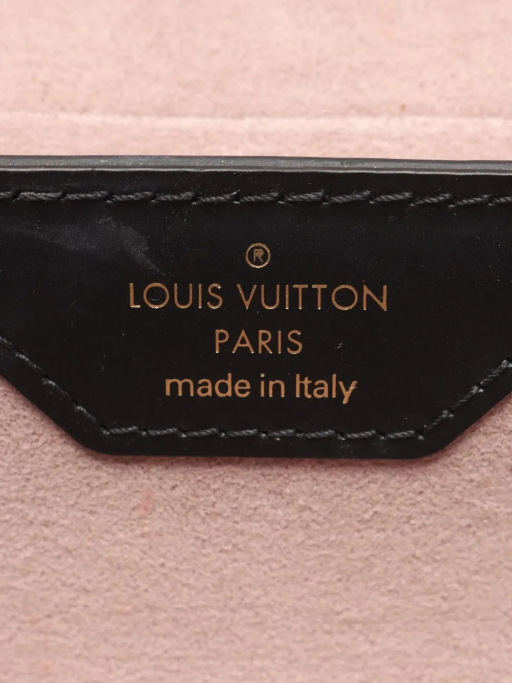 Louis Vuitton Pre-Owned Butterfly Epi schoudertas Zwart