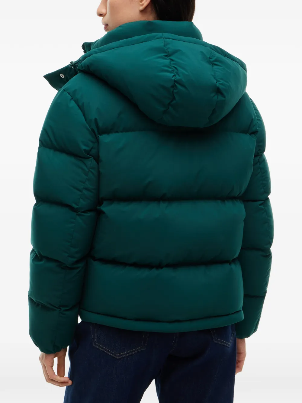 Tommy Hilfiger Donsjack met capuchon Groen