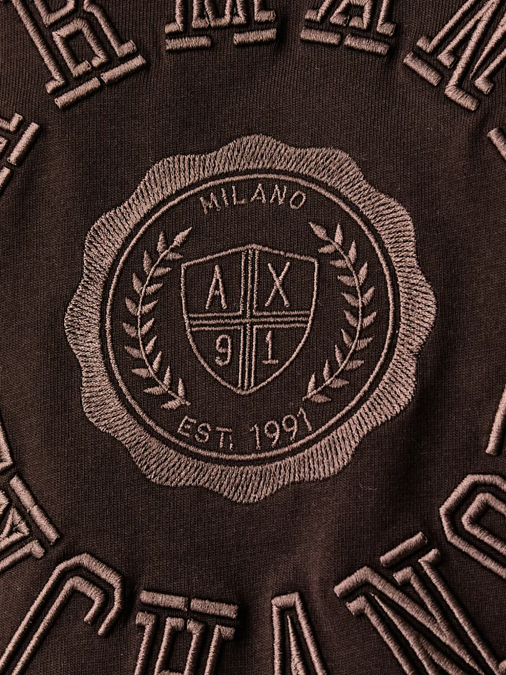 Armani Exchange T-shirt met geborduurd logo Bruin