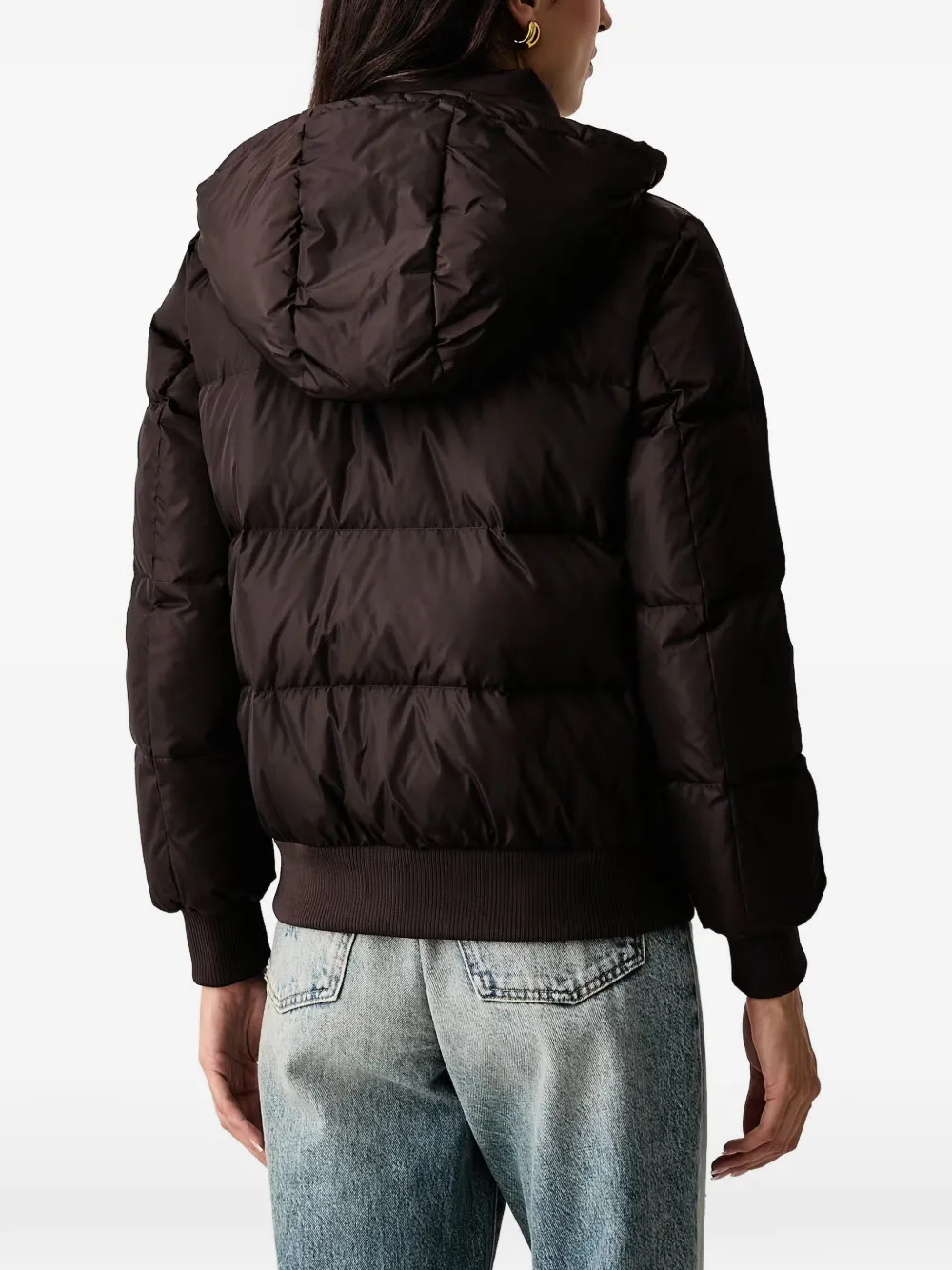 Armani Exchange Gewatteerd jack met capuchon Bruin