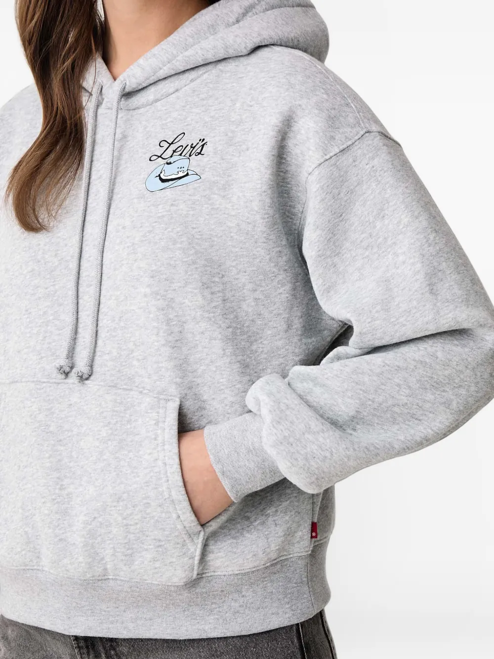Levi's Graphic Everyday drawstring hoodie Grijs