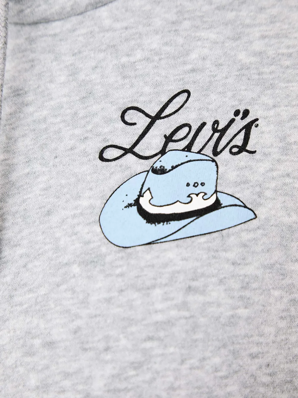 Levi's Graphic Everyday drawstring hoodie Grijs